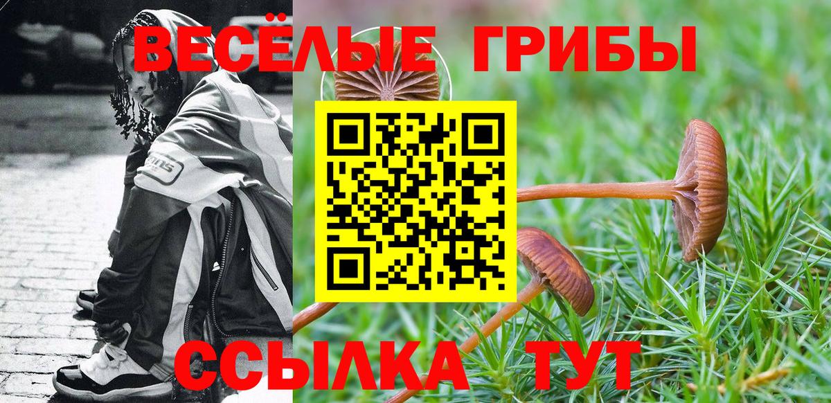 Галлюциногенные грибы Cubensis Зеленогорск